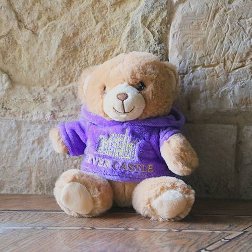 Hever Castle Teddy Purple